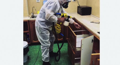 Уничтожение насекомых в квартире. Артемовск