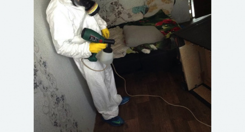 Обработка квартир от насекомых в Артемовске