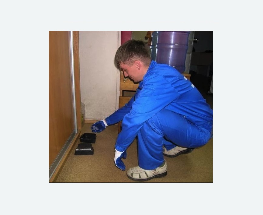 Дератизация крыс в Артемовске