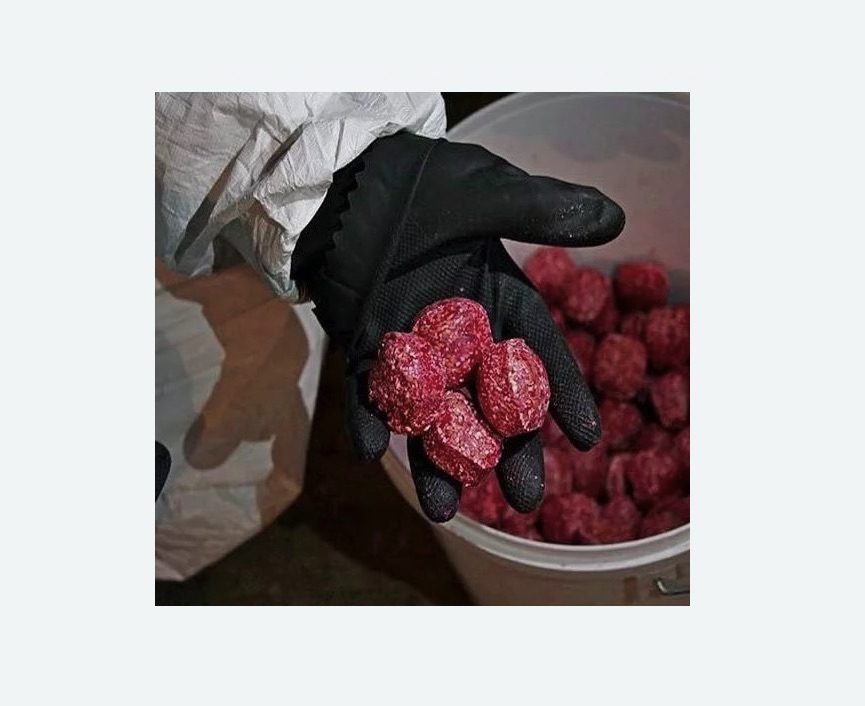 Обработка от крыс в Артемовске