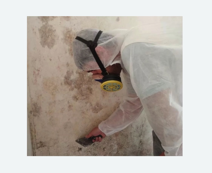 Обработка стен от плесени в Артемовске