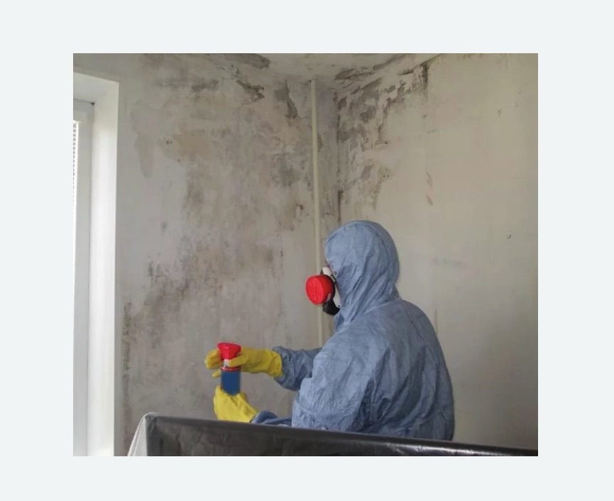 Удаление плесени в квартире в Артемовске