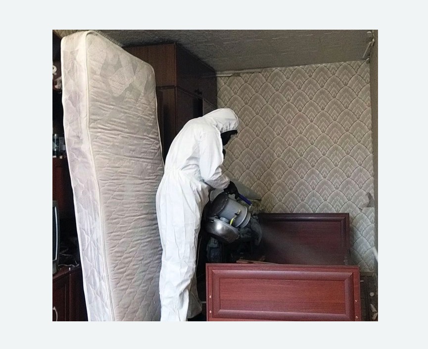 дезинфекция от клопов в Артемовске