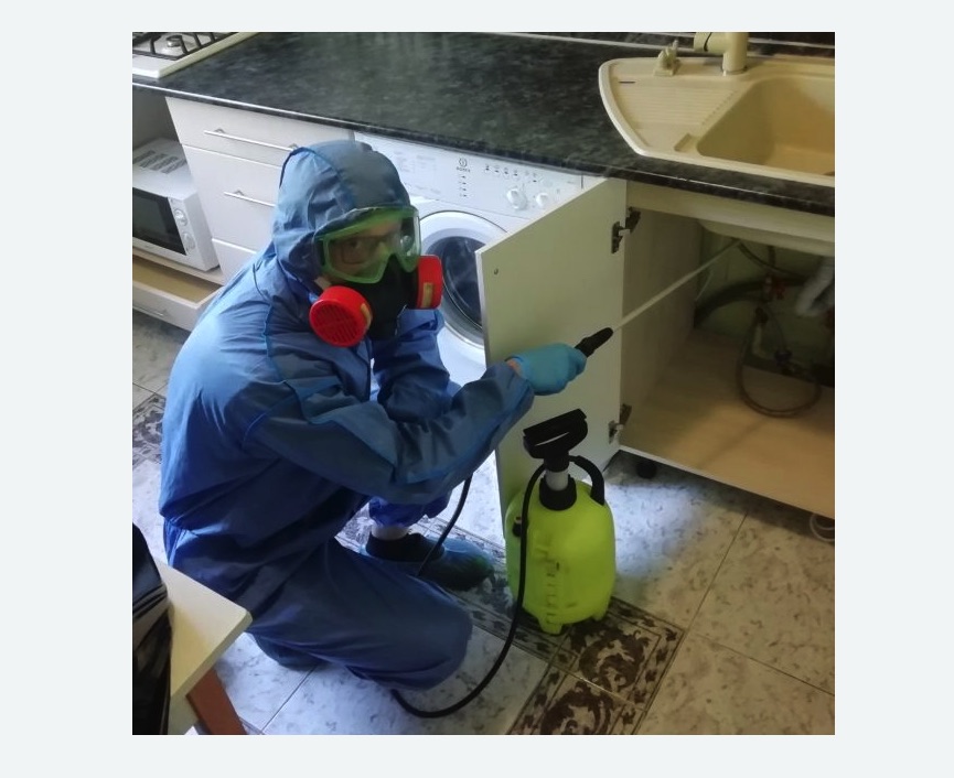 обработка от муравьев в квартире в Артемовске