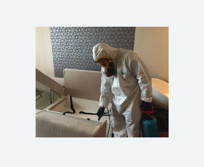 уничтожение клопов в квартире в Артемовске