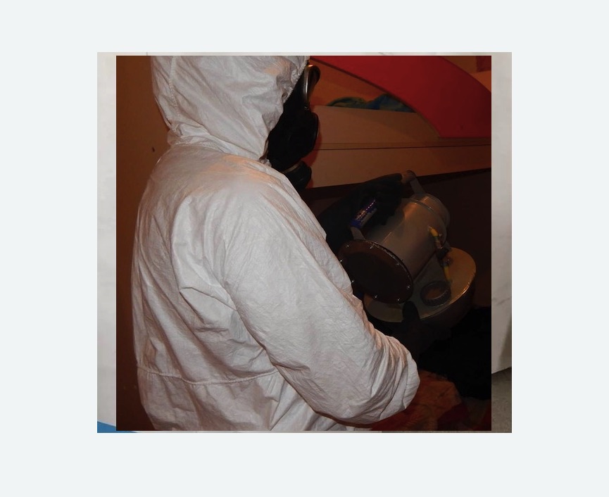 Дезинфекция от муравьев в Артемовске