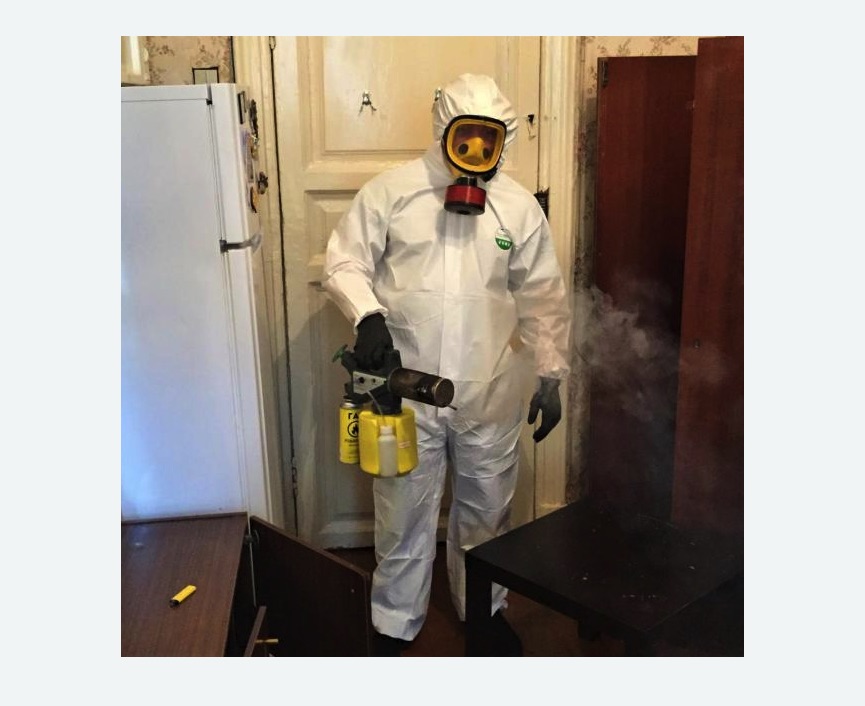 уничтожение муравьев в квартире в Артемовске